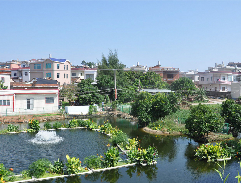 1514777304520456.jpg nEO_IMG_4.jpg